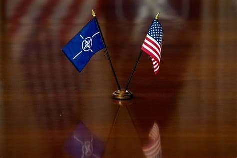 Pentagon Receives First NATO Responses as It Weighs European Troop Cuts Pentagon Receives First NATO Responses as It Weighs European Troop Cuts