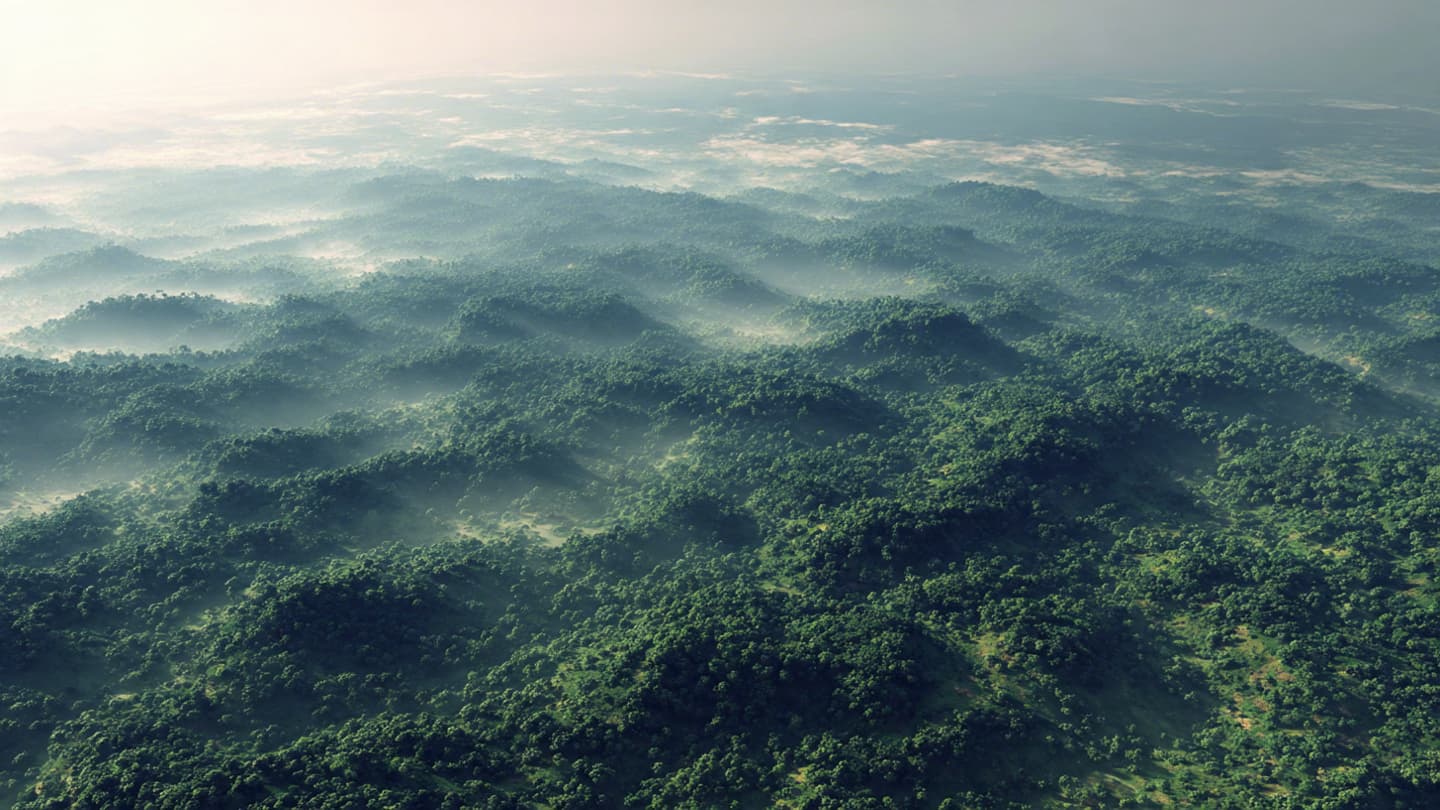 The Earth Holds More Living Giants Than the Sky Holds Stars The Earth Holds More Living Giants Than the Sky Holds Stars
