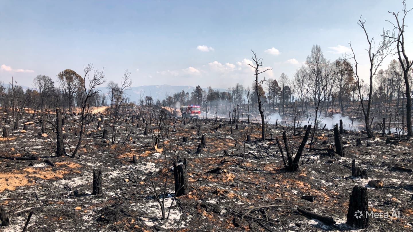 Thessaloniki Wildfire Crisis: Two Dead Near Liti As High Winds Fuel Rapid Flame Spread Thessaloniki Wildfire Crisis: Two Dead Near Liti As High Winds Fuel Rapid Flame Spread