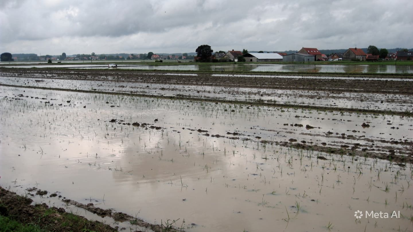 Between Rising Rivers And Rural Settlements, Southern Kyrgyzstan Faced Expanding Flood Conditions Between Rising Rivers And Rural Settlements, Southern Kyrgyzstan Faced Expanding Flood Conditions