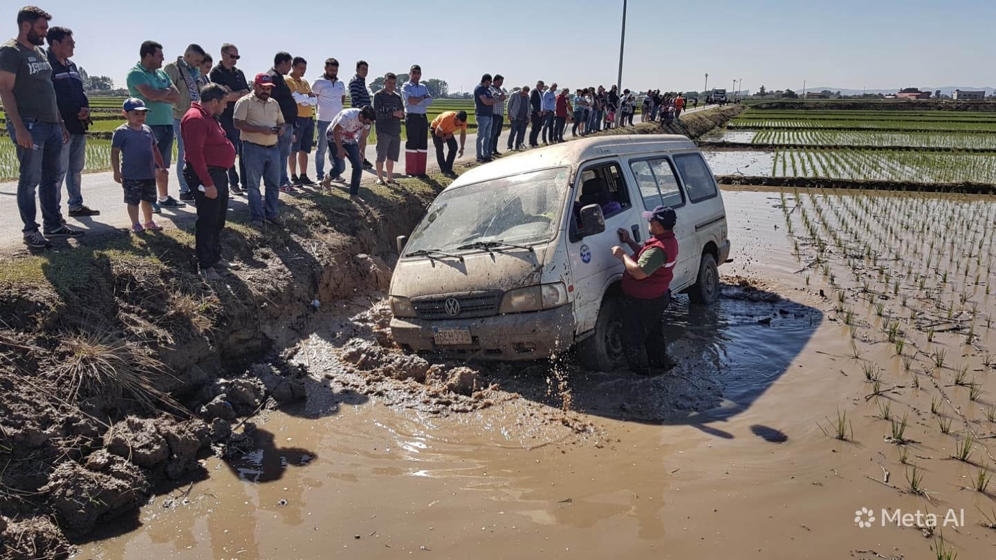 Fatal Commuter Accident: Two Confirmed Dead After Microbus Veers Off Road In Sharqia Governorate Fatal Commuter Accident: Two Confirmed Dead After Microbus Veers Off Road In Sharqia Governorate