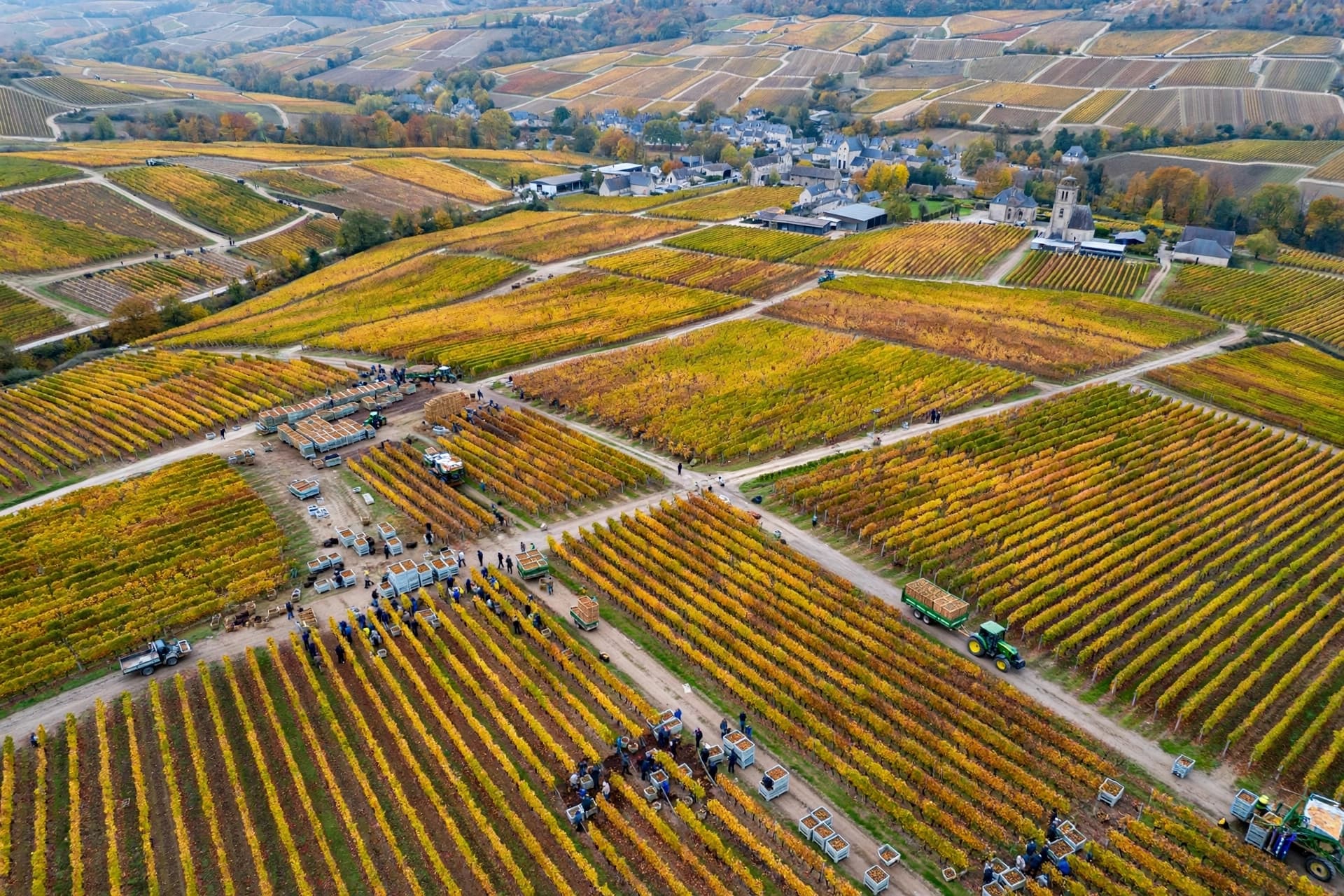 From Spring Frost to Summer Heatwaves, Champagne’s Vineyards Follow an Unusually Difficult Harvest Season From Spring Frost to Summer Heatwaves, Champagne’s Vineyards Follow an Unusually Difficult Harvest Season