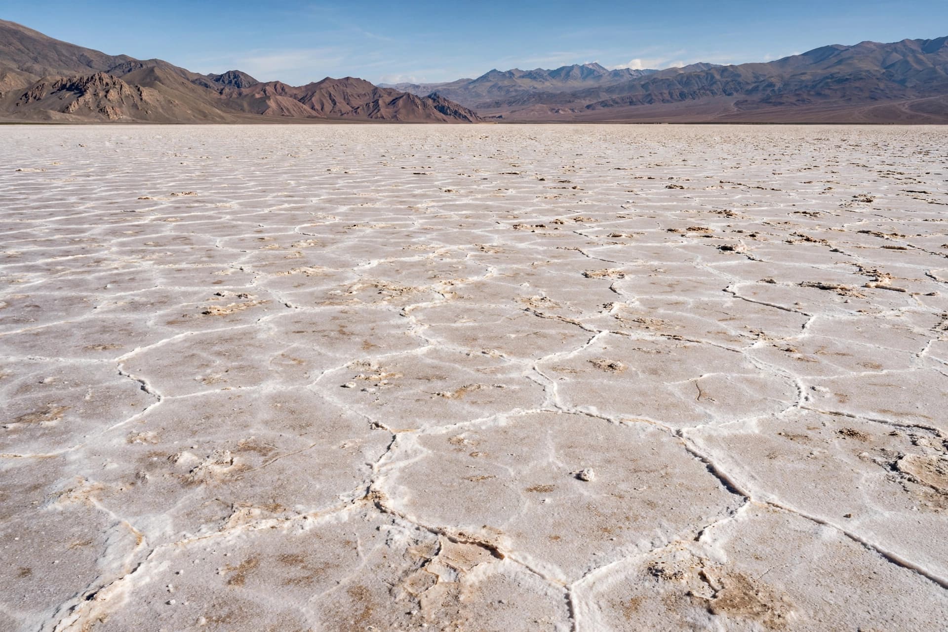 1\. Beneath Argentina’s High Andean Landscapes, a Proposed Lithium Expansion Opens New Possibilities for Industry, Investment, and Battery Production 1\. Beneath Argentina’s High Andean Landscapes, a Proposed Lithium Expansion Opens New Possibilities for Industry, Investment, and Battery Production