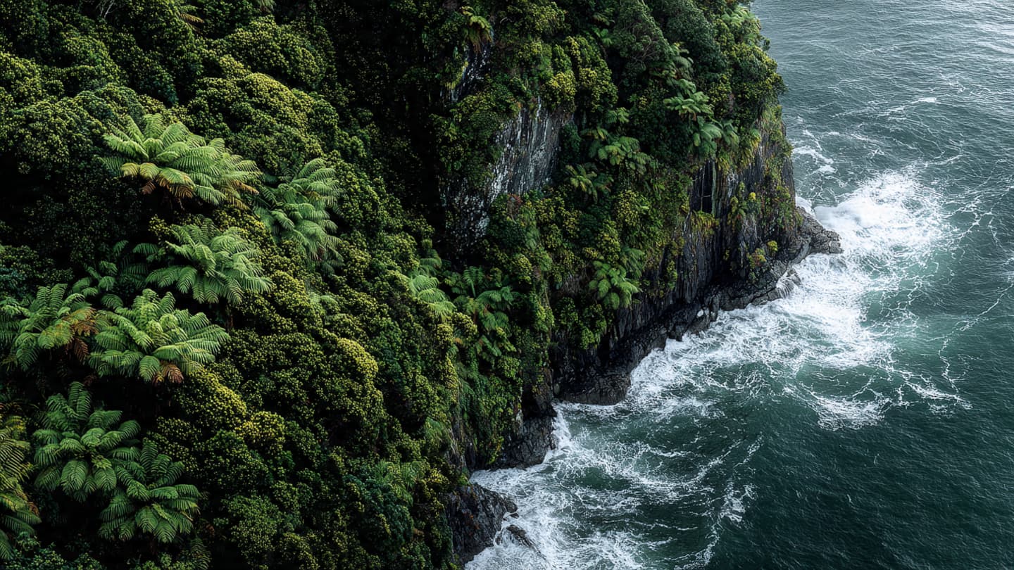 The Salted Fern: A Narrative of Tidal Rhythms and Coastal Secrets Along the Tasman Shore The Salted Fern: A Narrative of Tidal Rhythms and Coastal Secrets Along the Tasman Shore