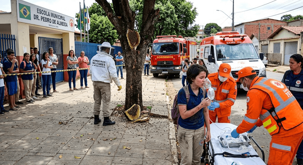 Twelve-Year-Old Girl Attacked by Massive Bee Swarm Outside School in Ibirité, Brazil Twelve-Year-Old Girl Attacked by Massive Bee Swarm Outside School in Ibirité, Brazil
