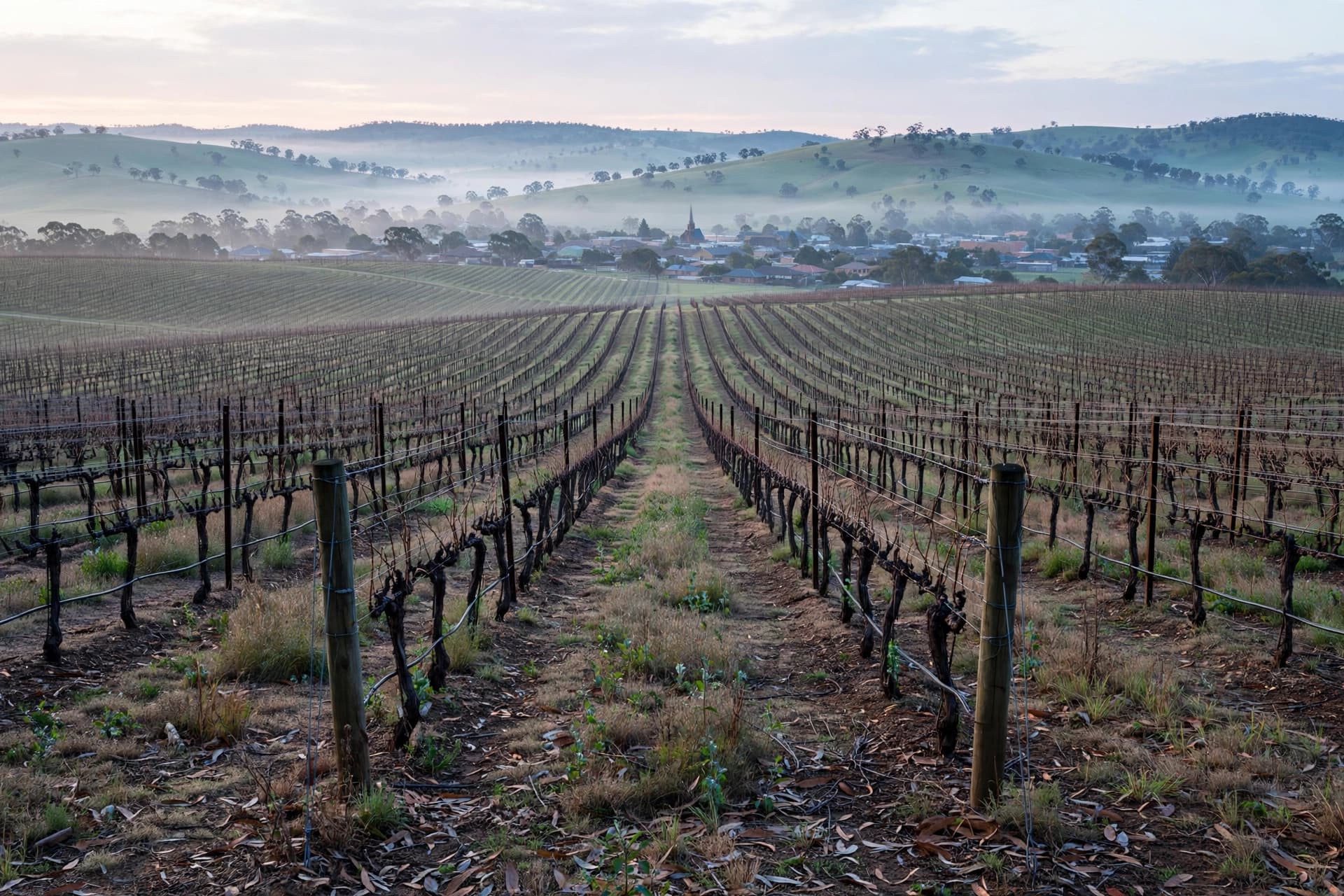 A Small Tremor, a Gentle Reminder: Tanunda's Early Morning Wake-Up A Small Tremor, a Gentle Reminder: Tanunda's Early Morning Wake-Up