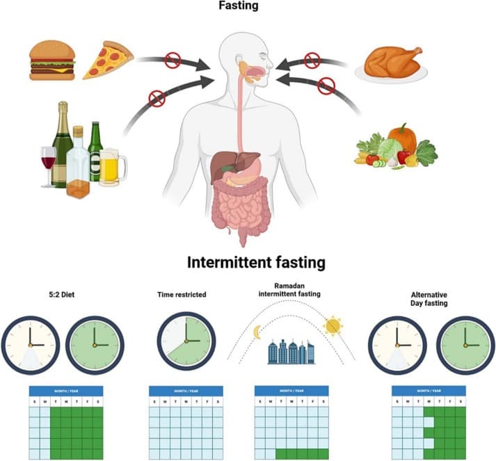 INTERMITTENT FASTING – The Process of Healing INTERMITTENT FASTING – The Process of Healing