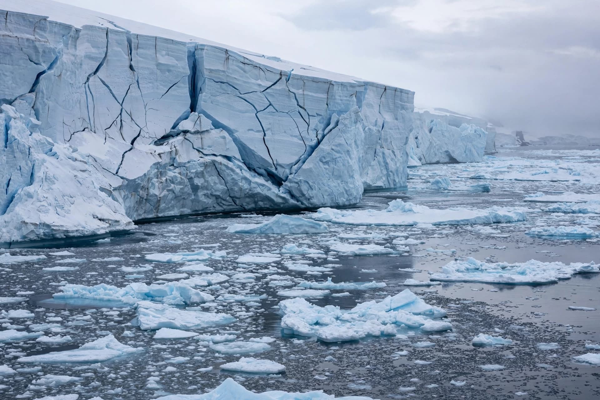 The Antarctic Ice Sheet Carries a Future Written Partly in Today’s Climate Decisions. The Antarctic Ice Sheet Carries a Future Written Partly in Today’s Climate Decisions.