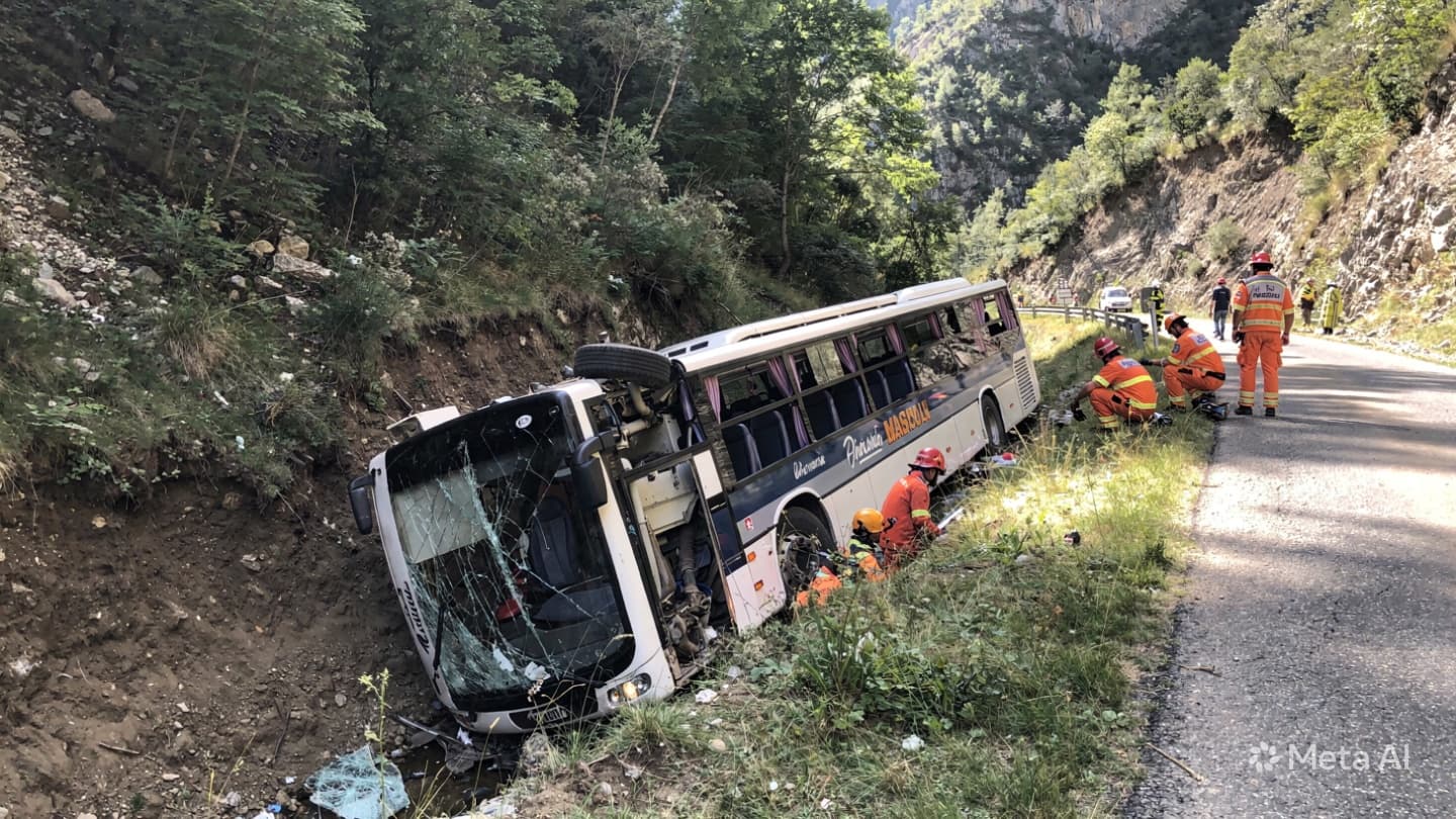 Fatal Bus Accident: Tourist Vehicle Plunges Off Road Near Alpine Region, Claiming Four Lives Fatal Bus Accident: Tourist Vehicle Plunges Off Road Near Alpine Region, Claiming Four Lives
