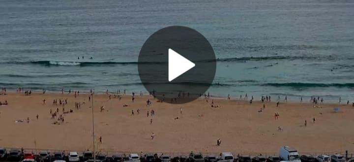 Bondi Beach Terror Attack: 12 People Killed in ‘Evil Antisemitic’ Shooting at Park in Australia Bondi Beach Terror Attack: 12 People Killed in ‘Evil Antisemitic’ Shooting at Park in Australia