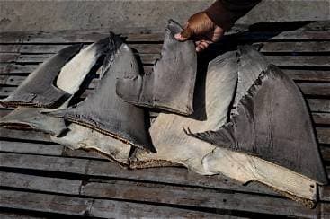 Chinese Ship Caught Carrying Banned Shark Fins in Pacific Operation Involving US Coast Guard Chinese Ship Caught Carrying Banned Shark Fins in Pacific Operation Involving US Coast Guard