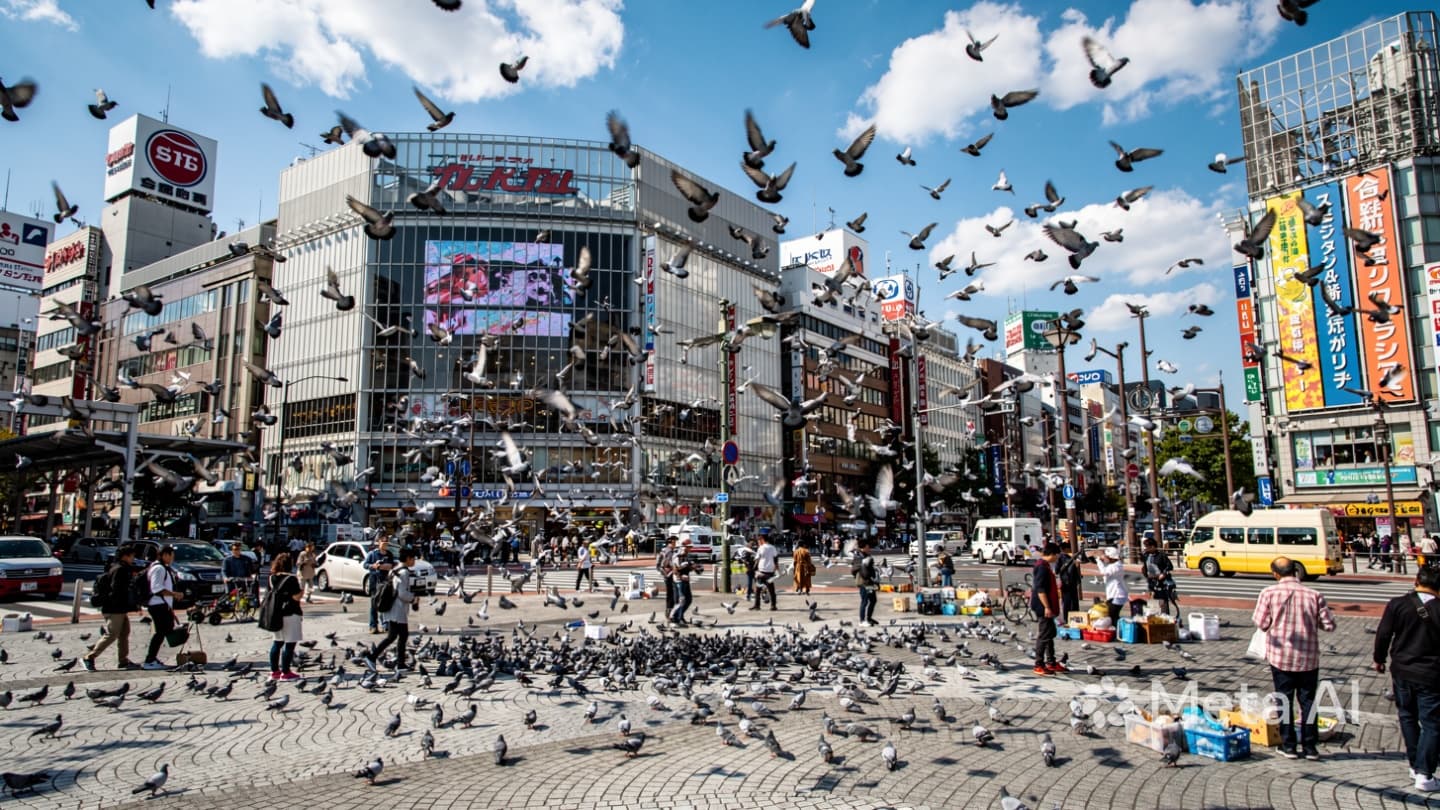 The Gray Wings of Osaka’s Sky: Reflections on a Quiet Conflict in the Public Square The Gray Wings of Osaka’s Sky: Reflections on a Quiet Conflict in the Public Square