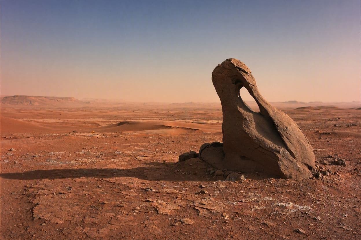 “Jellyfish” Spotted in NASA Mars Photo Sparks Frenzy “Jellyfish” Spotted in NASA Mars Photo Sparks Frenzy