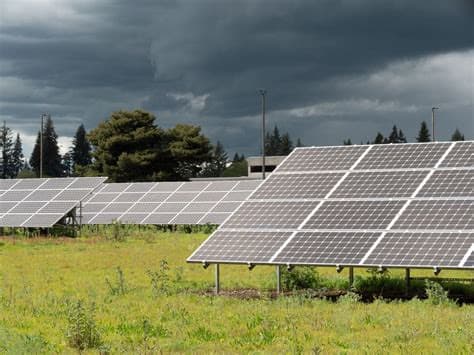 Montenegro Approves Solar Plants Despite Warnings of Biodiversity Damage Montenegro Approves Solar Plants Despite Warnings of Biodiversity Damage