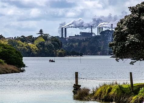 New Zealand blocks lawsuits against firms over climate harm New Zealand blocks lawsuits against firms over climate harm