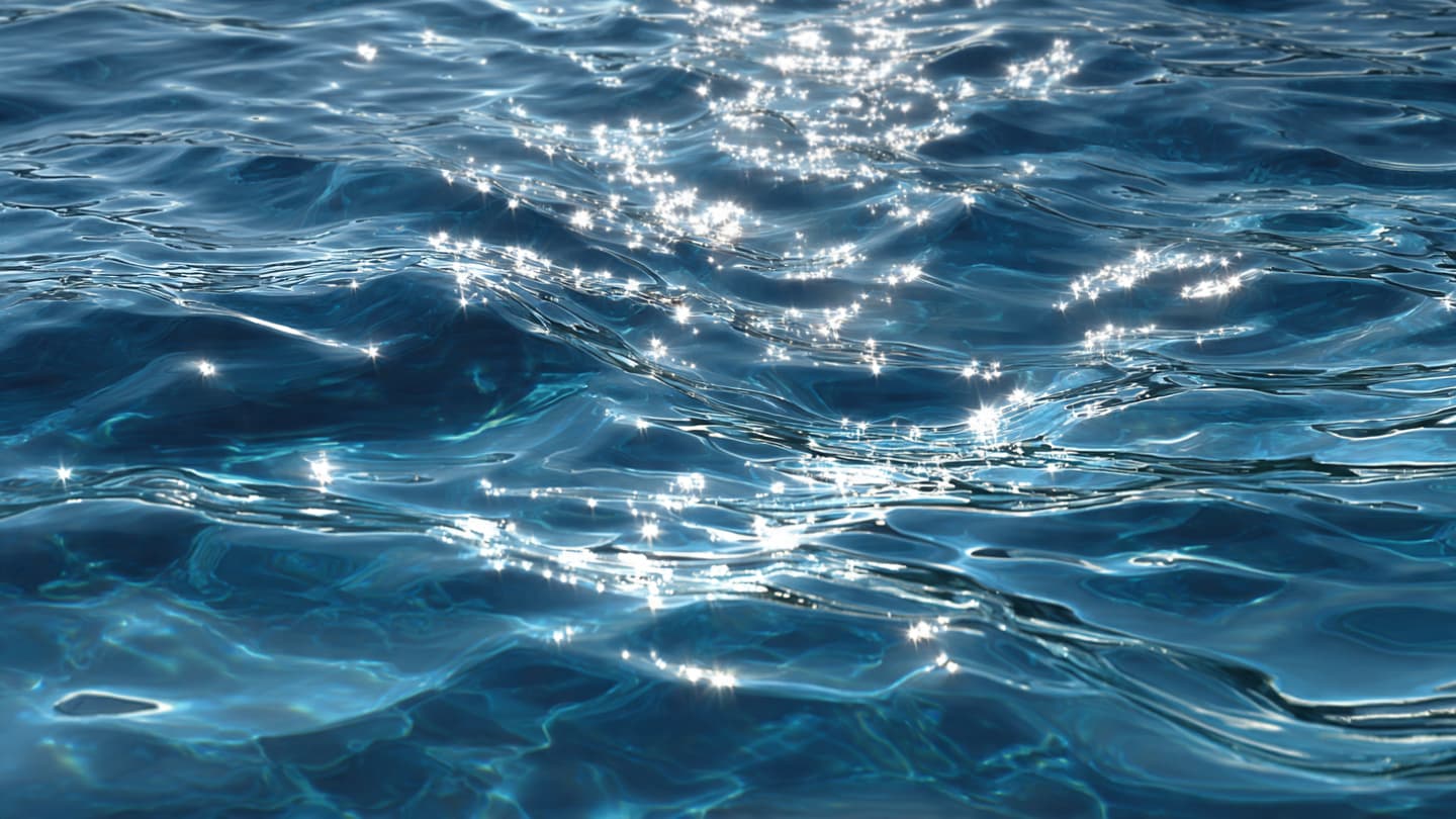 Where the Sea Surrenders Its Salt, Finding the Pulse of Freshwater Beneath the Tide Where the Sea Surrenders Its Salt, Finding the Pulse of Freshwater Beneath the Tide