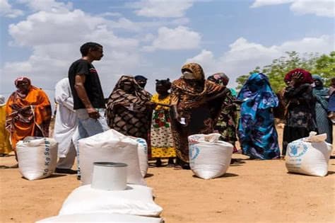 New Famine Risk Haunts War-Torn Sudan as El Niño-Driven Drought Depletes Food Stocks New Famine Risk Haunts War-Torn Sudan as El Niño-Driven Drought Depletes Food Stocks