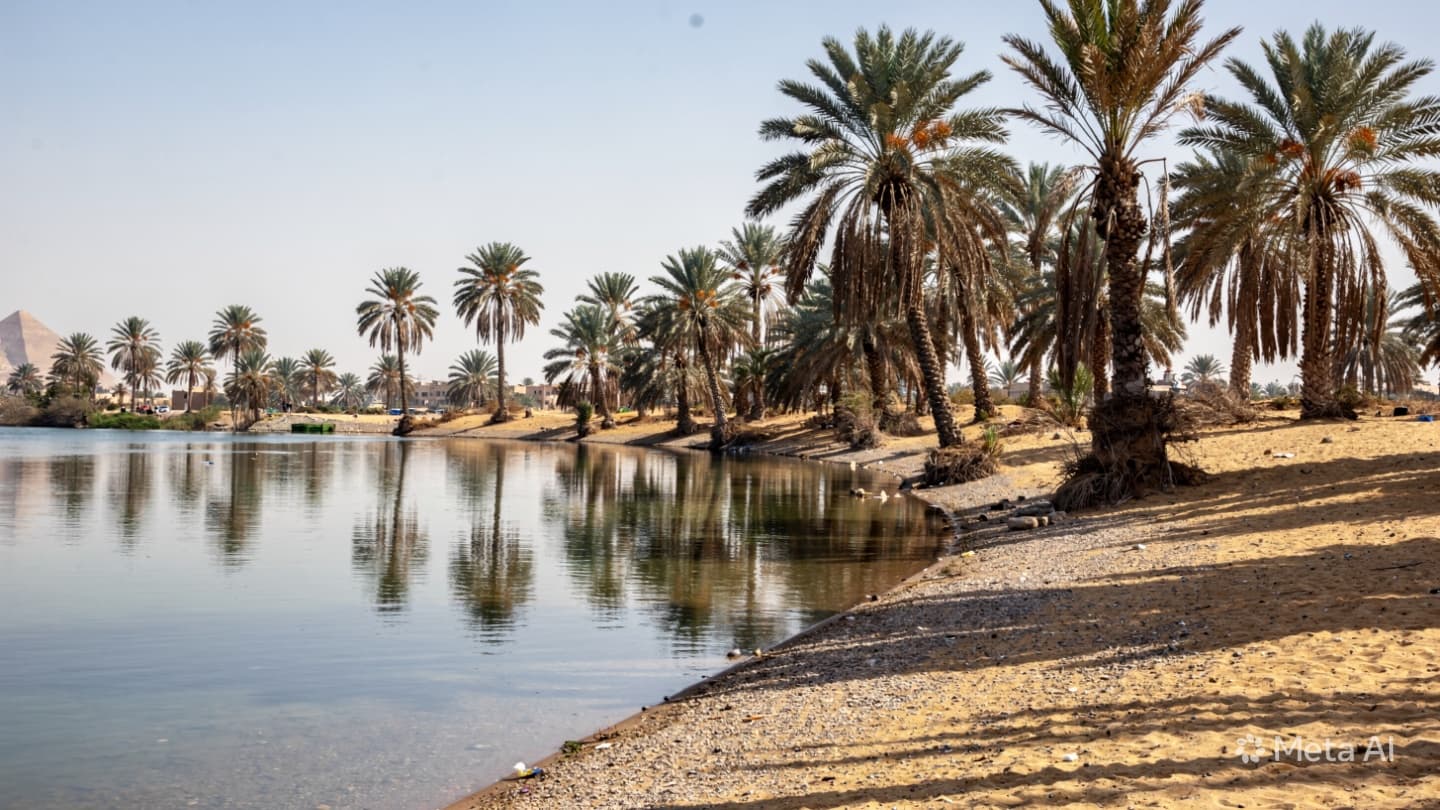Nile River Accident Near Giza: Two Children Drown While Playing Near Water This Saturday Nile River Accident Near Giza: Two Children Drown While Playing Near Water This Saturday