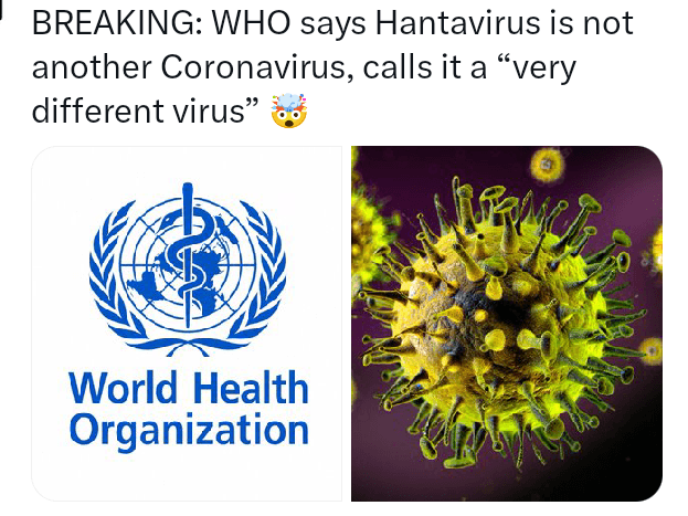 Hantavirus Hantavirus
