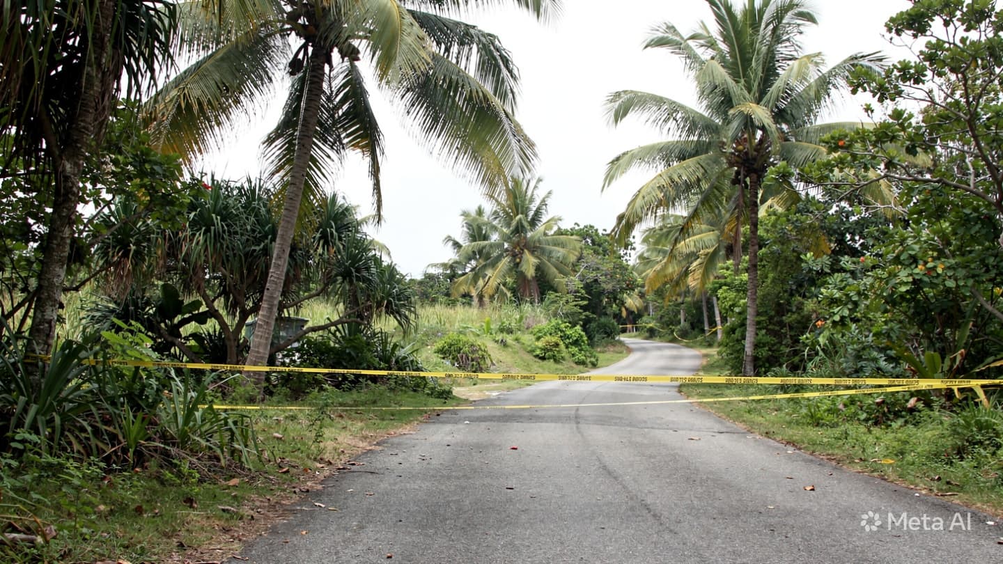 Hamilton Island Tragedy: Woman Dies After Violent E-Bike Crash Into Tree On Melaleuca Drive Hamilton Island Tragedy: Woman Dies After Violent E-Bike Crash Into Tree On Melaleuca Drive