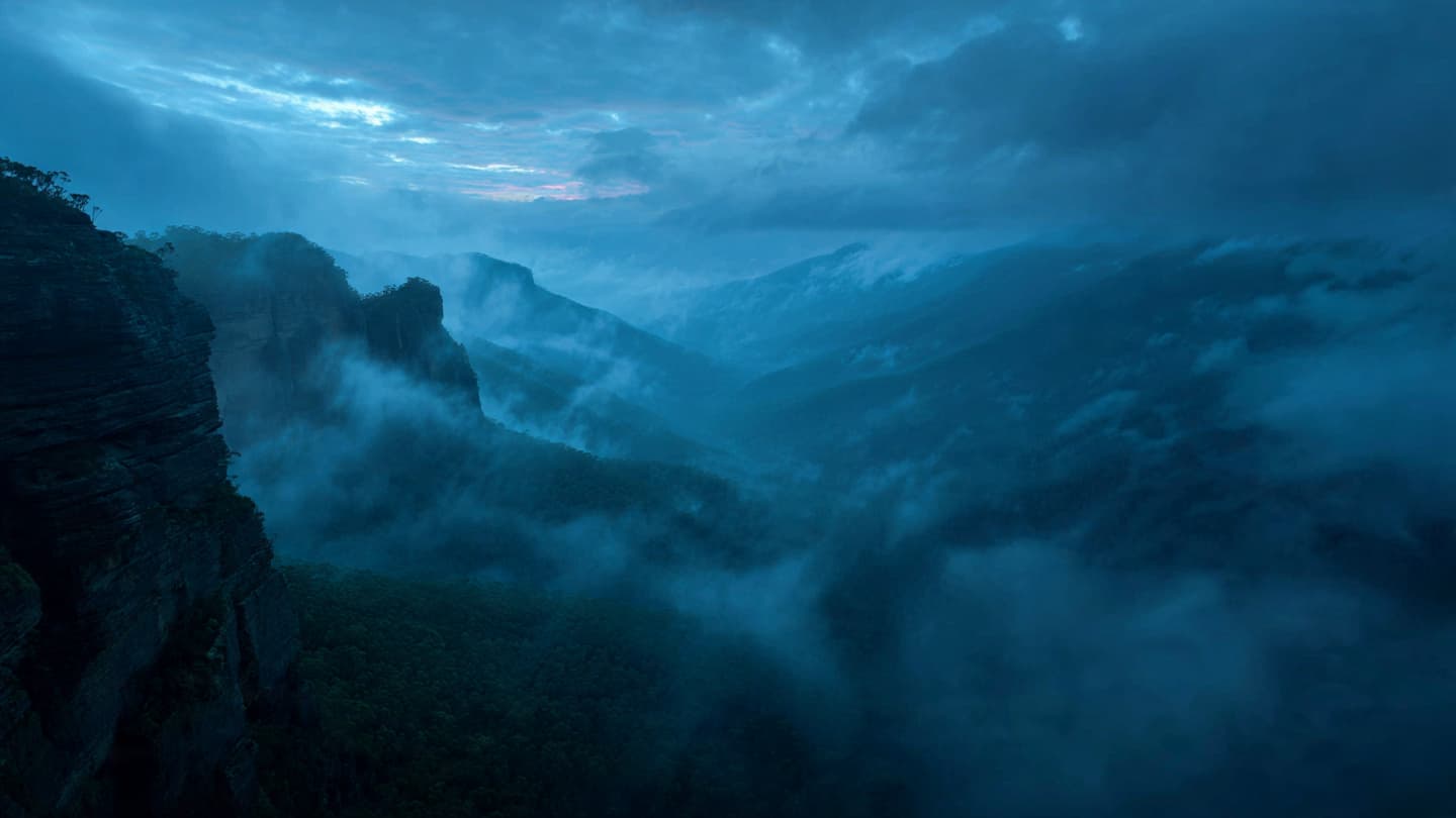 Where the Mist Meets the Ironbark, The Long Vigil for a Lost Wanderer’s Footsteps Where the Mist Meets the Ironbark, The Long Vigil for a Lost Wanderer’s Footsteps
