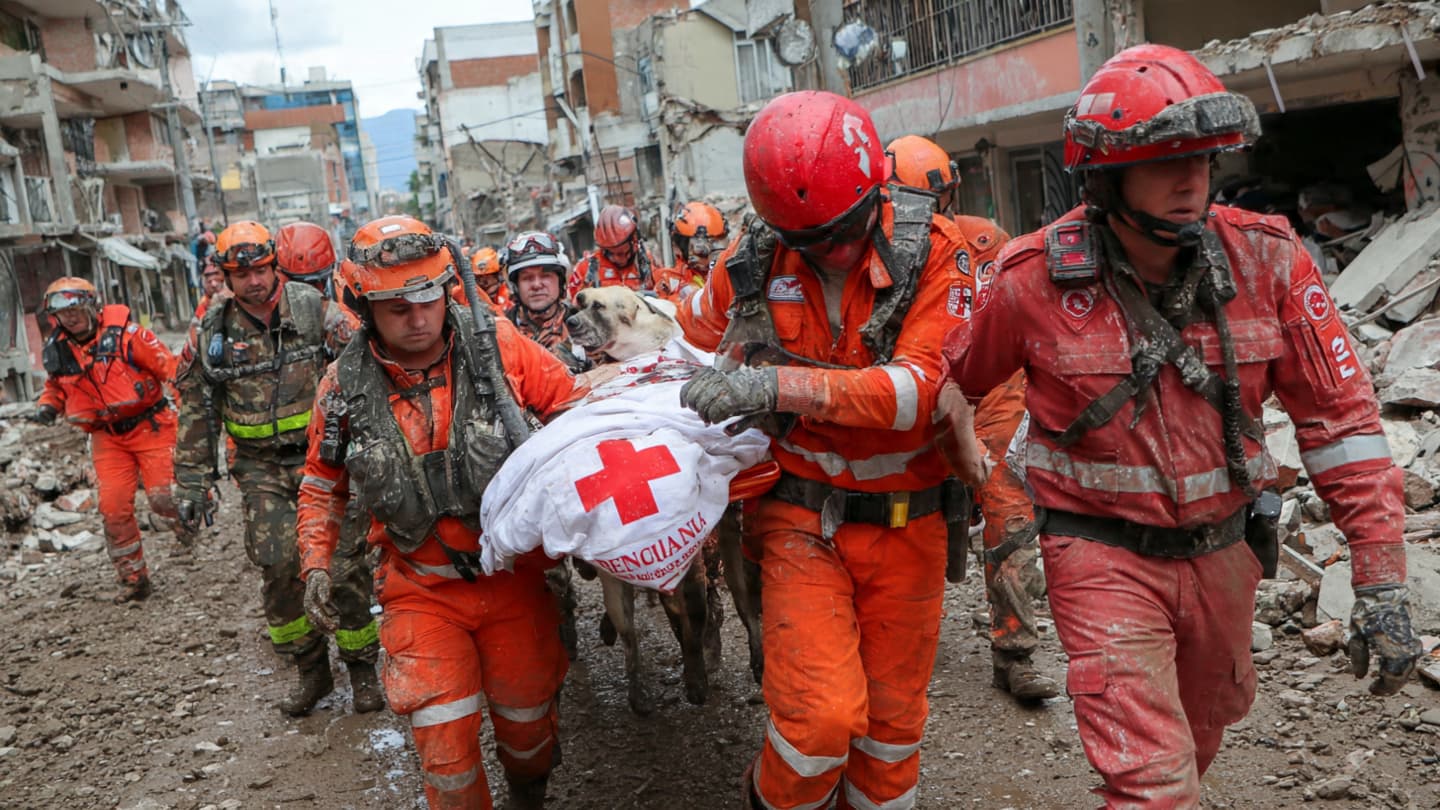 When the Earth Moves, Resilience Rises When the Earth Moves, Resilience Rises