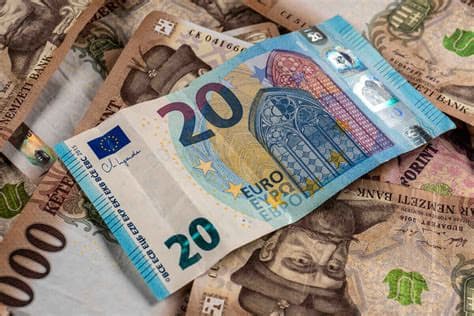 Why the Euro Can Be an Advantage for Hungary Why the Euro Can Be an Advantage for Hungary
