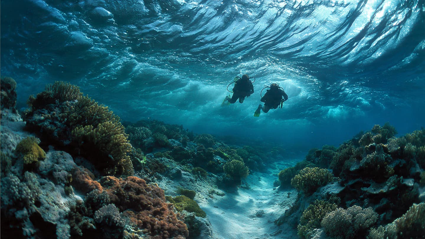 Beneath the Maldives’ Calm Waters, a Holiday Journey Ended in Sudden Silence