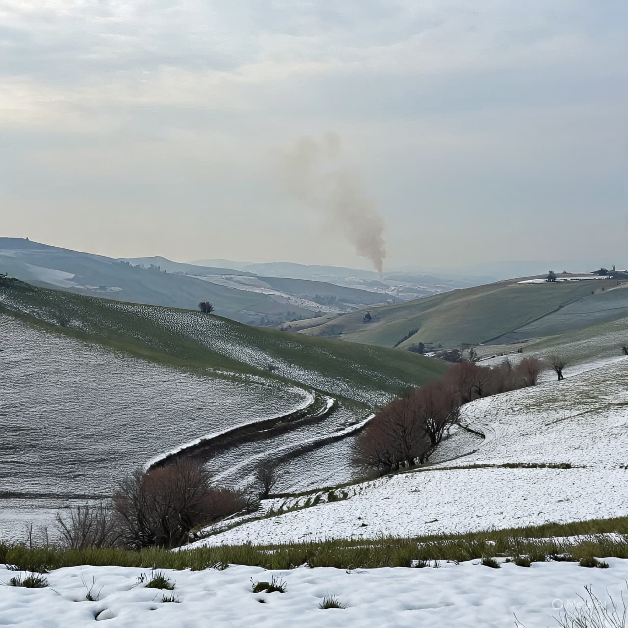 Between Olive Groves and Distant Engines, the Echo of Old Wars Returns to the North Between Olive Groves and Distant Engines, the Echo of Old Wars Returns to the North