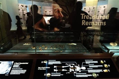 Ancient Coupling May Have Happened More Between Human Females and Neanderthal Males Ancient Coupling May Have Happened More Between Human Females and Neanderthal Males
