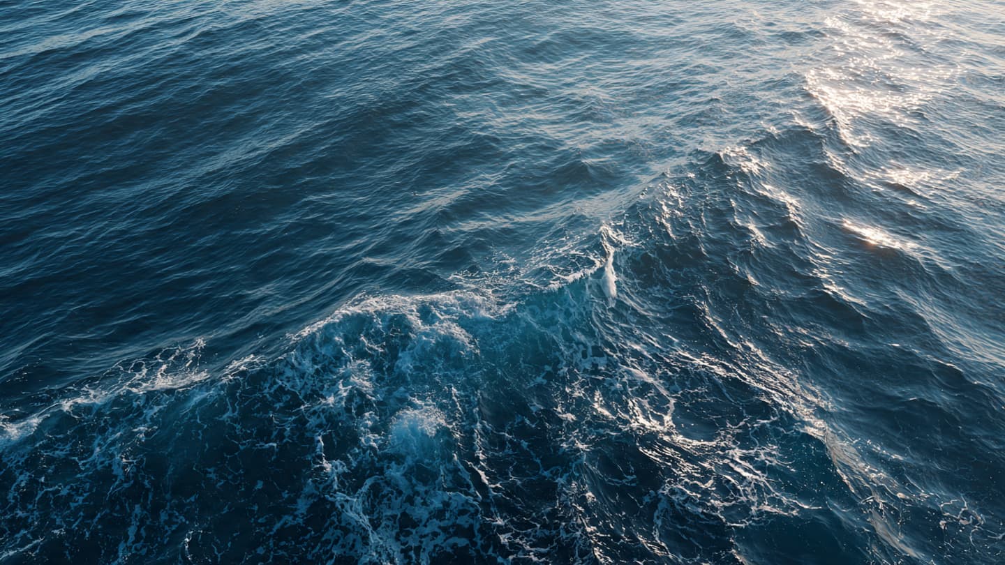 The Sea Does Not Answer Quickly: A Soldier, a Moment, and the Ongoing Search