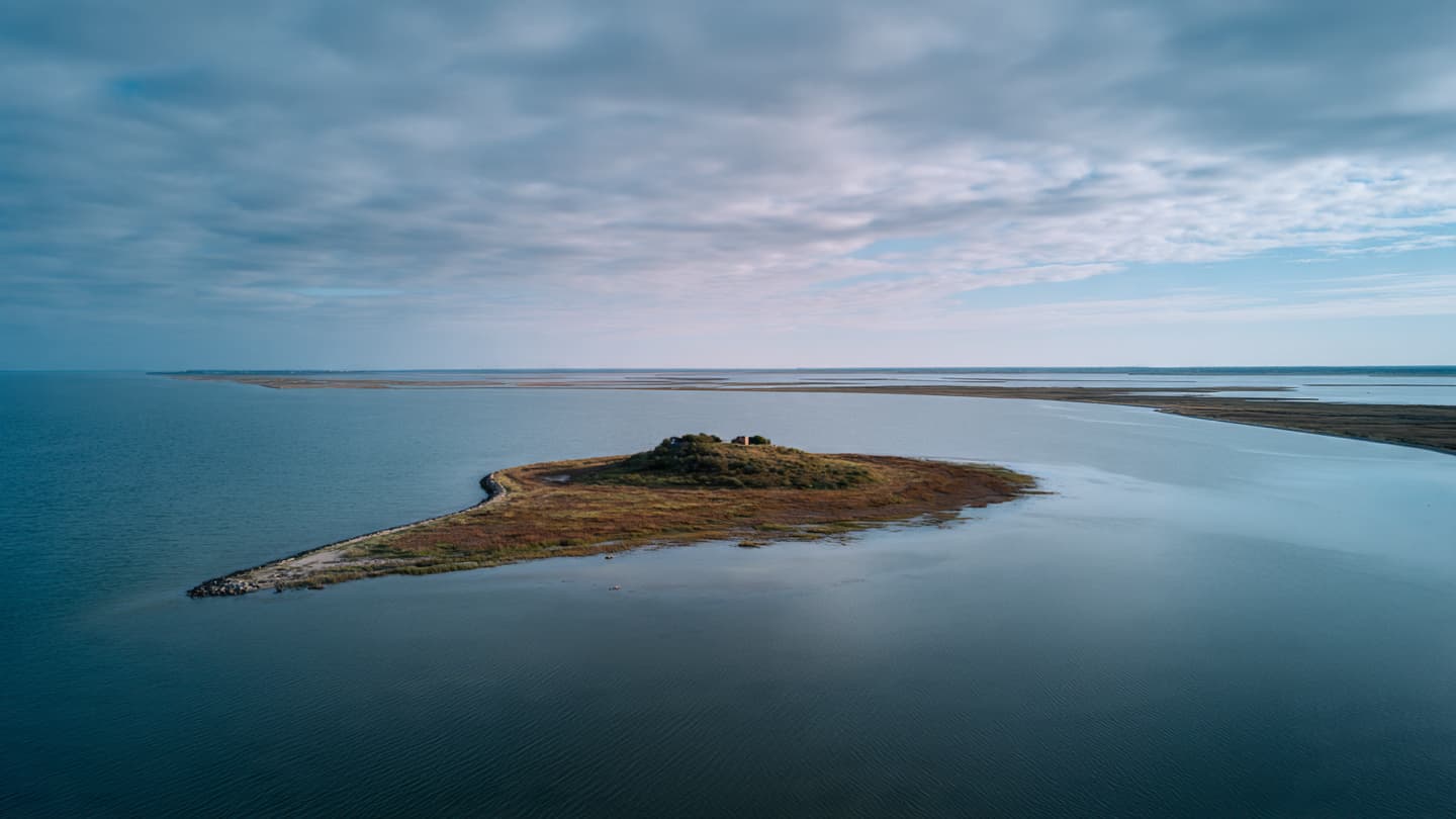 Under Gray Scandinavian Skies: The Whale That Carried a Continent’s Attention Toward the Shore