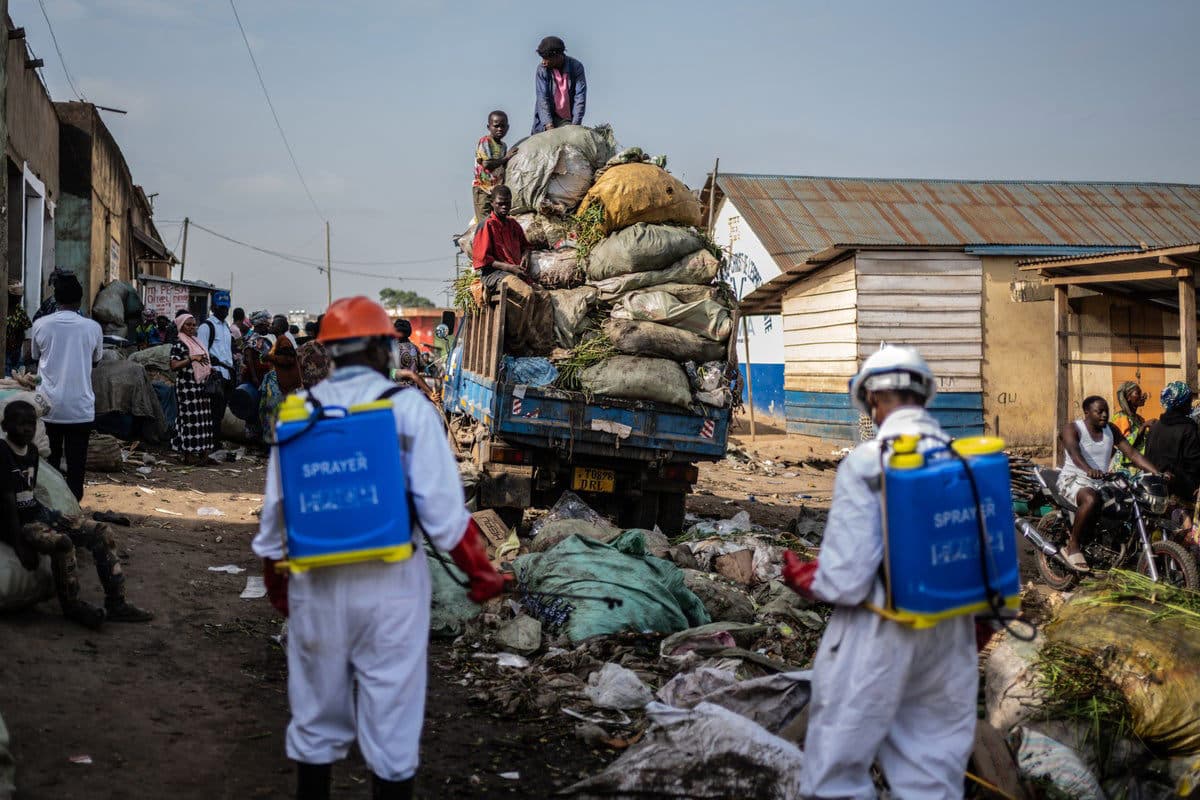 Number of Suspected Ebola Cases in DR Congo Passes 900 as Health Workers Face Attacks and Shortages