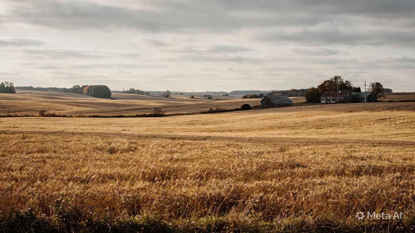 When the Sky Surrenders Its Burden: A Contemplative Look at a Sudden Rural Aviation Tragedy
