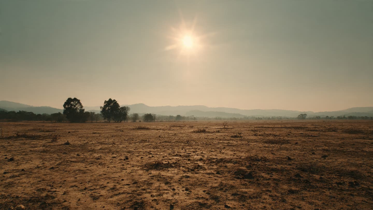 When the Air Becomes a Burden: Navigating the Parched Landscapes of Northern Malaysia