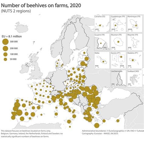 Bee-utiful Growth: EU Beehives Reach Record 9.4 Million