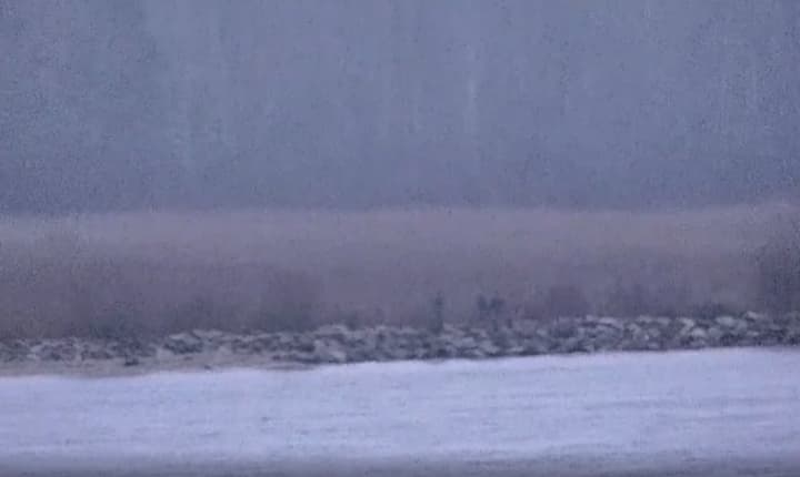 Russian Border Guards Cross into Estonia with Unclear Motives, Minister Reports Russian Border Guards Cross into Estonia with Unclear Motives, Minister Reports
