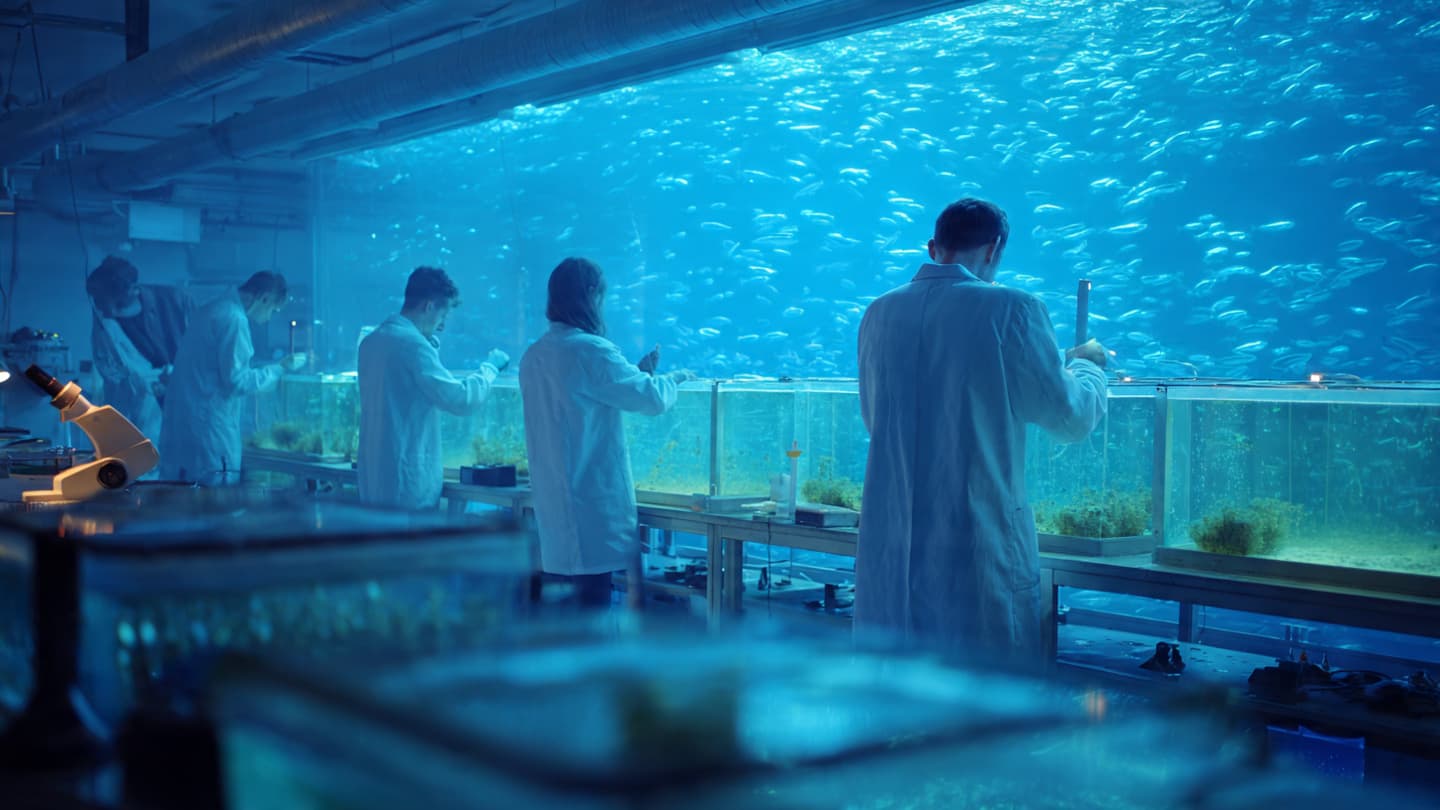 Scientists Advance Plastic Designed to Dissolve in Seawater Scientists Advance Plastic Designed to Dissolve in Seawater
