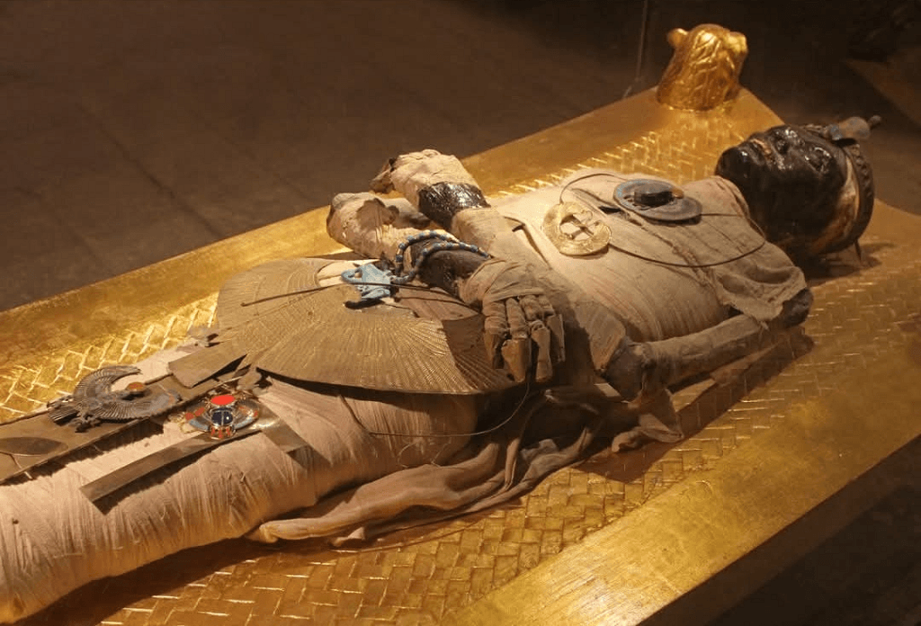 The Mummy and the Muse: The Stunning Discovery of Homer’s Iliad Hidden in an Egyptian Tomb The Mummy and the Muse: The Stunning Discovery of Homer’s Iliad Hidden in an Egyptian Tomb