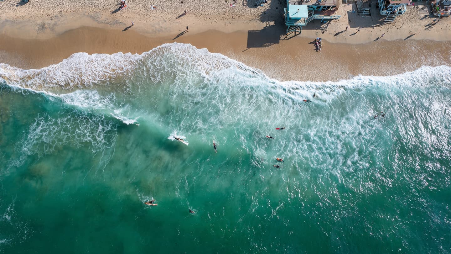 The Ocean’s Balance Raises Questions Beyond Fear Alone The Ocean’s Balance Raises Questions Beyond Fear Alone