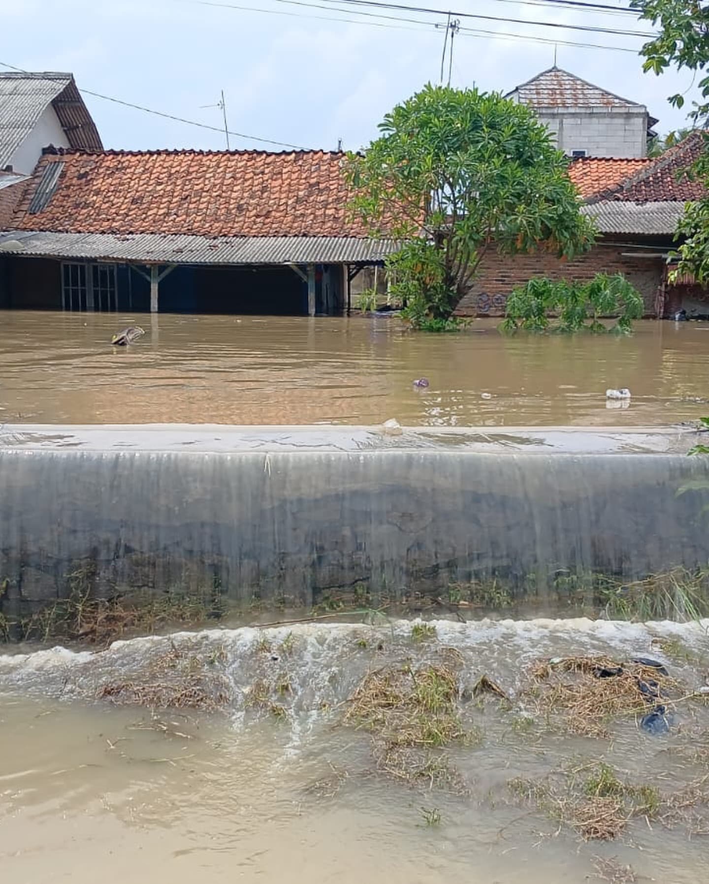 Floods Submerge Houses and Agricultural Land in Karangligar Village, Karawang Floods Submerge Houses and Agricultural Land in Karangligar Village, Karawang