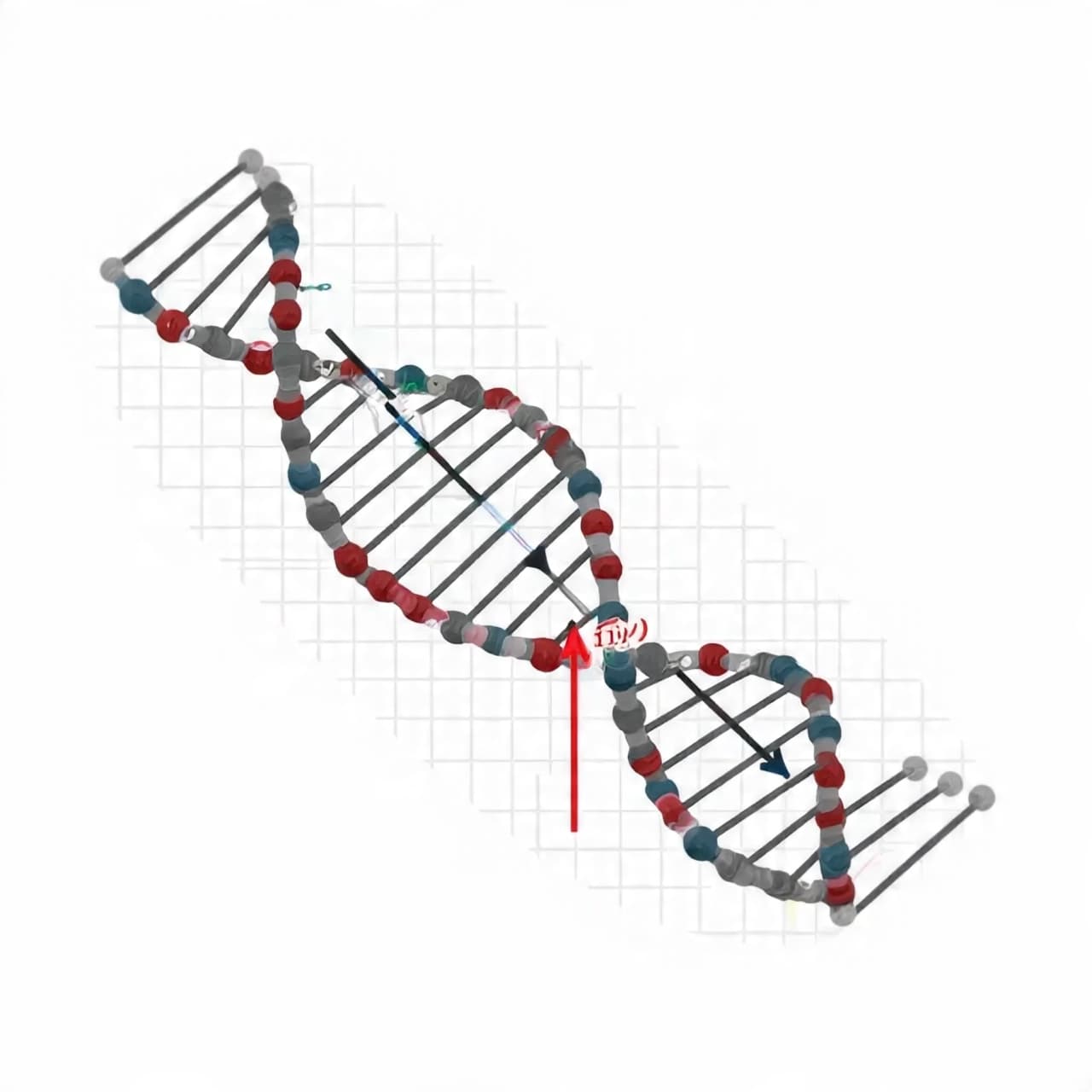 When Tiny Cuts Tell Big Stories: Exploring LINE‑1’s Silent Marks on Our Genome When Tiny Cuts Tell Big Stories: Exploring LINE‑1’s Silent Marks on Our Genome