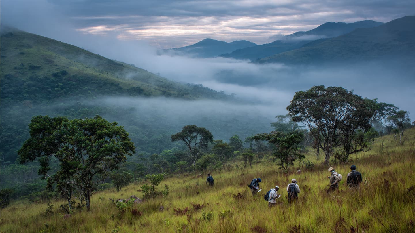 In Angola's Highlands, Discovery Continues to Rewrite the Known World In Angola's Highlands, Discovery Continues to Rewrite the Known World