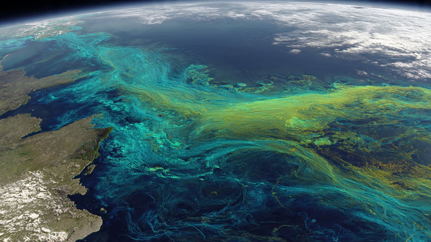 Artificial Intelligence May Help Scientists Watch Earth’s Waters More Carefully