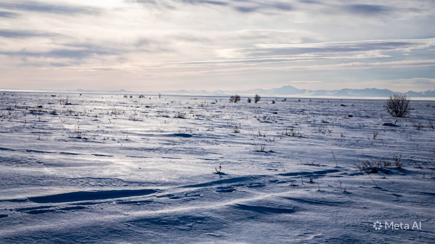Between the Bitter Frost and the Hearth, A Soft Remembrance for Travelers of the Snow Between the Bitter Frost and the Hearth, A Soft Remembrance for Travelers of the Snow