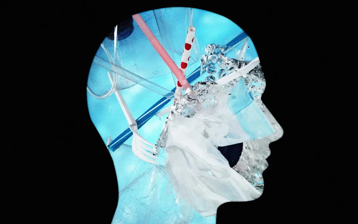 A Bombshell” Claims: Doubts Raised About Microplastics Found in Human Bodies A Bombshell” Claims: Doubts Raised About Microplastics Found in Human Bodies