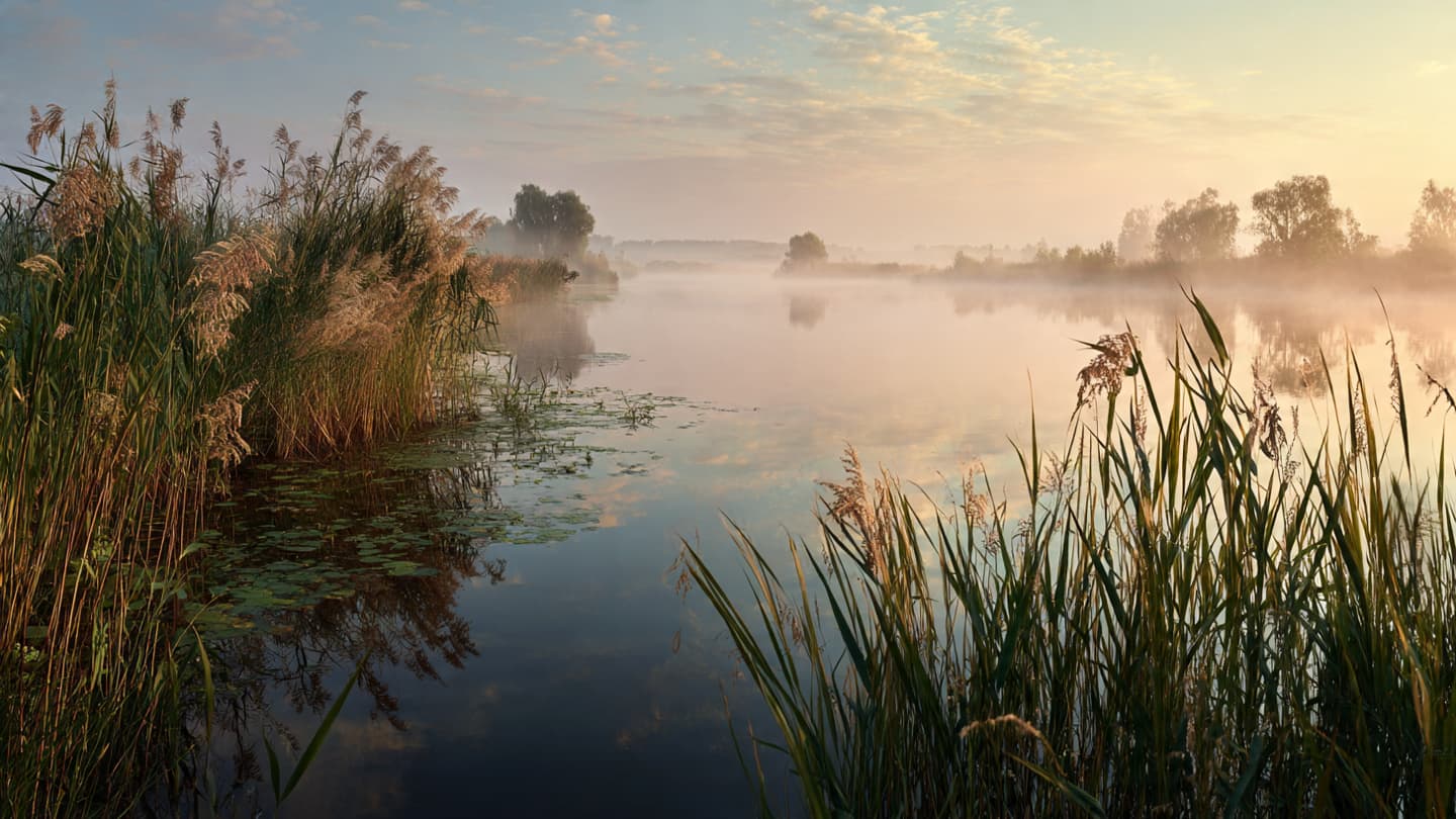 Where the Elbe Whispers Secrets: The Solemn Search for a Child Lost in Saxony