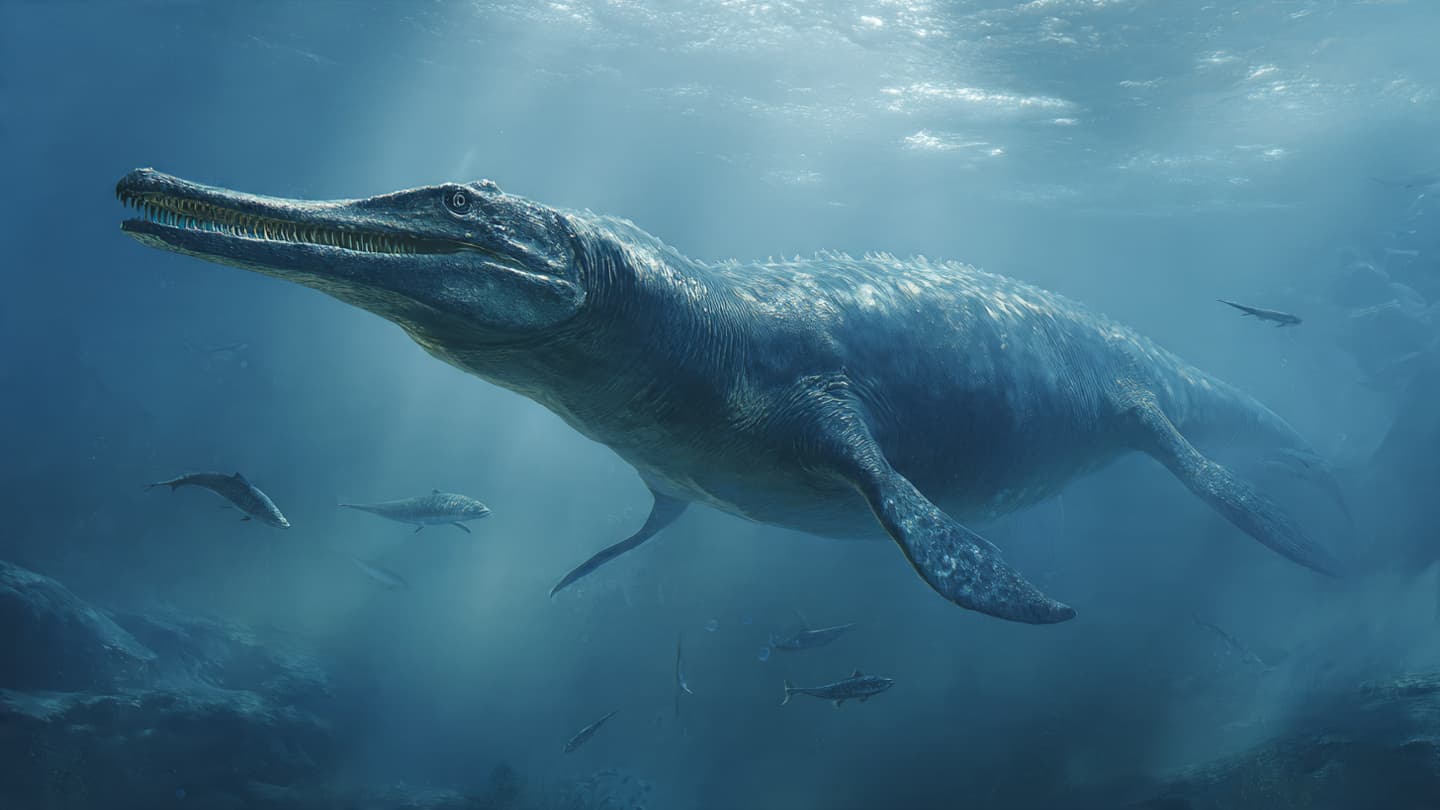 Beneath Ancient Texas Seas, A Giant Predator Quietly Returned From Stone