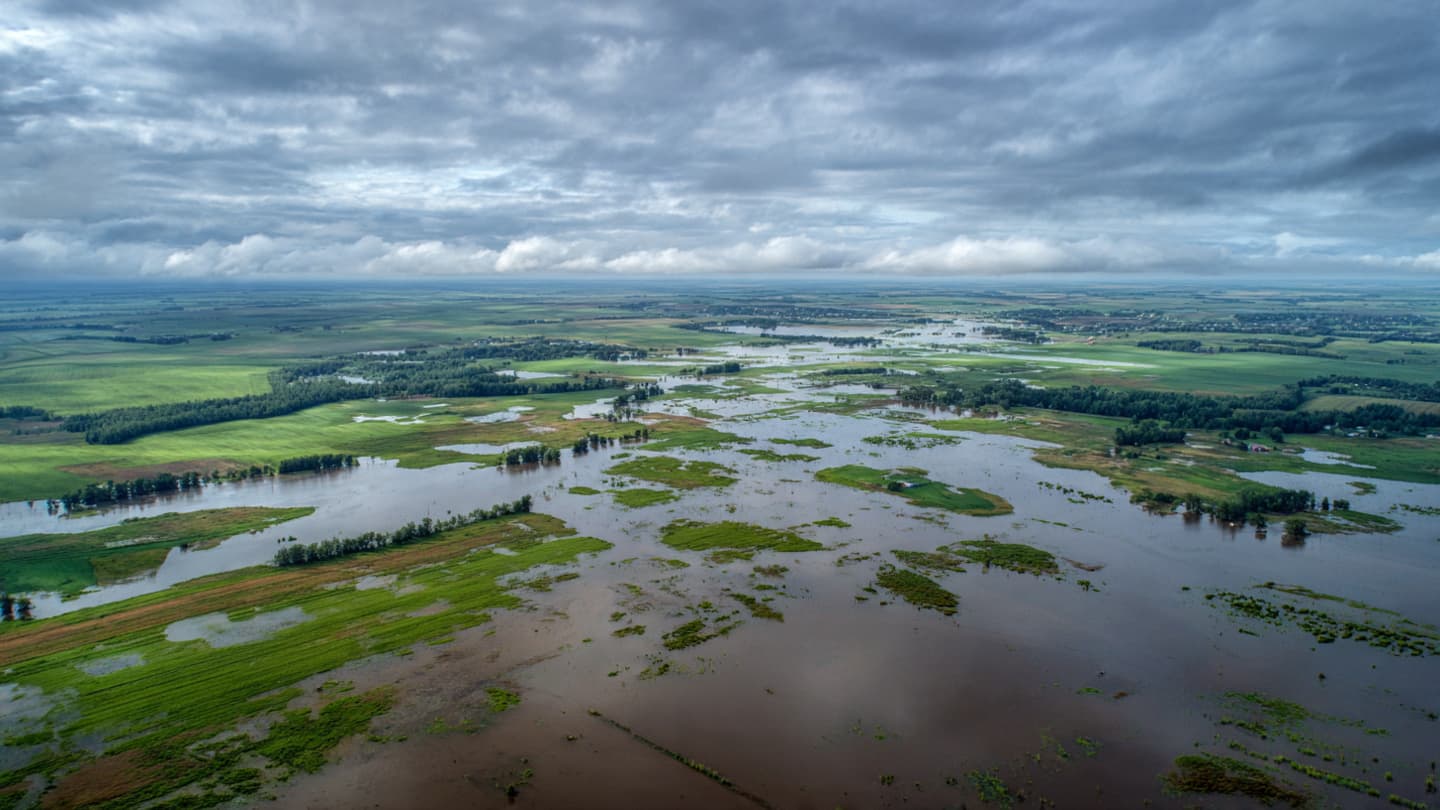 Between the Saturated Root and the Rising Silt: A Season of Unchecked Waters Between the Saturated Root and the Rising Silt: A Season of Unchecked Waters