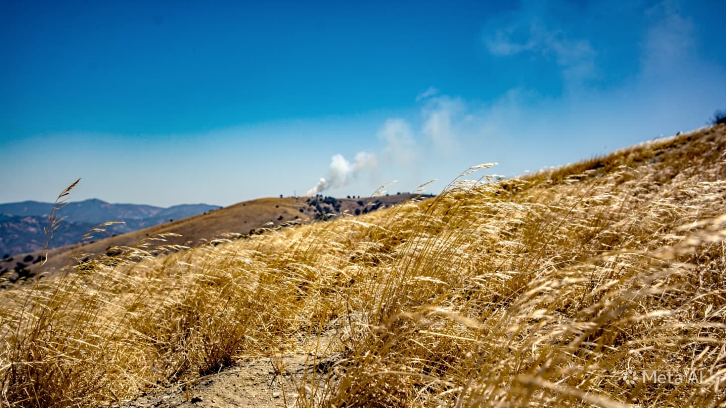 When the Hills Catch Fire: Reflections on the Fragile Balance of the California Landscape